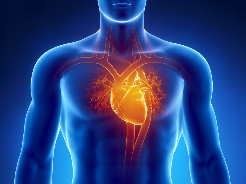Тест: вы заботитесь о здоровье сердца?